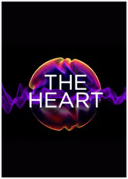 The Heart